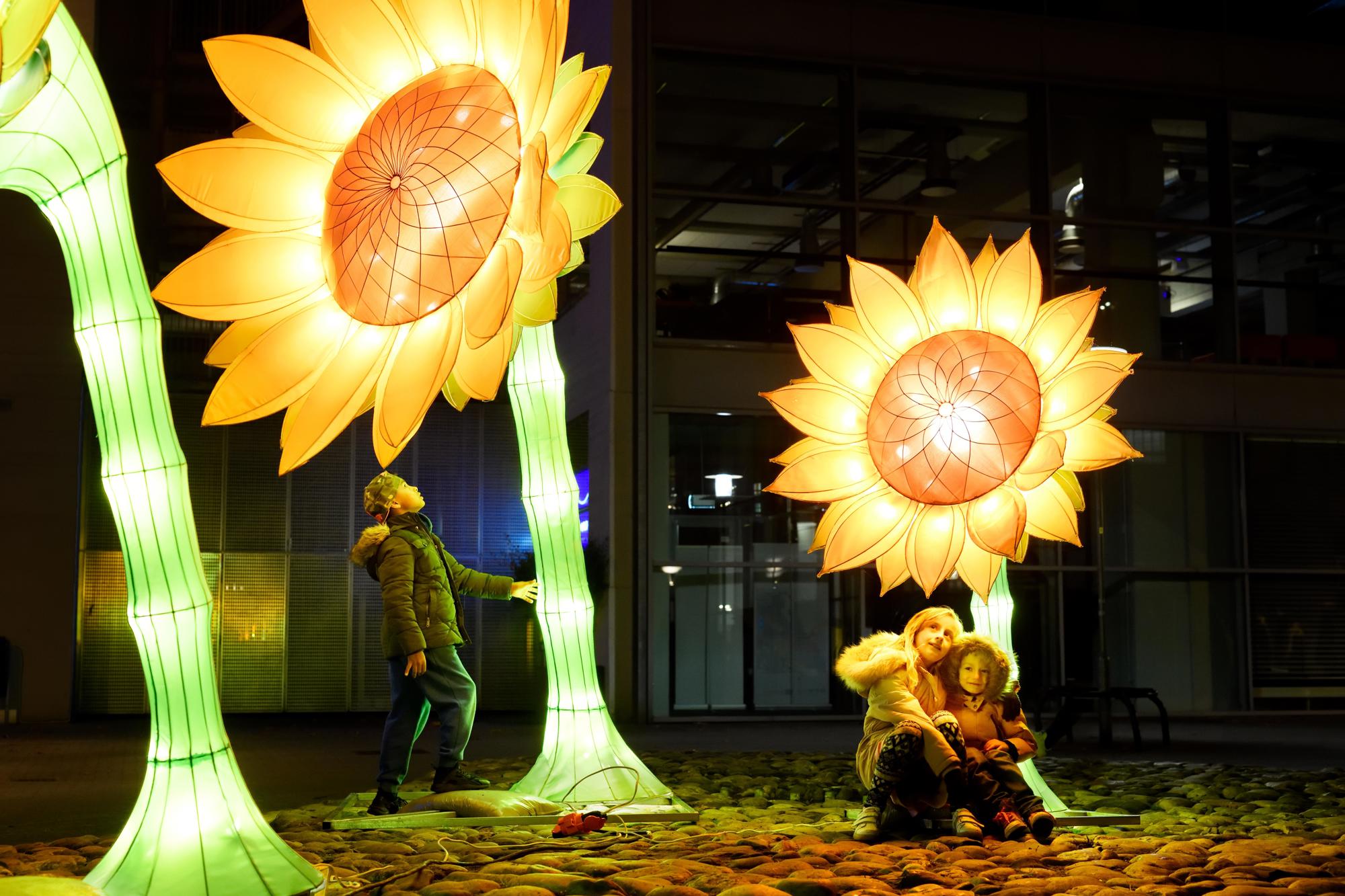 Every year, artists transform Eindhoven into GLOW with surprising design: a citywide exhibition of light art in the open air