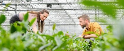 Dionne Oomen and Johan Jansen, LocalTea Zundert